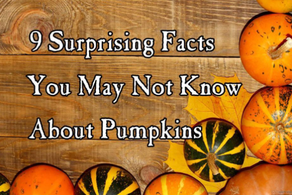 Pumpkin facts