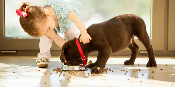 Pets at Home opening times
