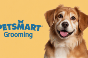 petsmart grooming
